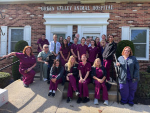 Green Valley Animal Hospital – Exceptional Veterinary Care In Ijamsville