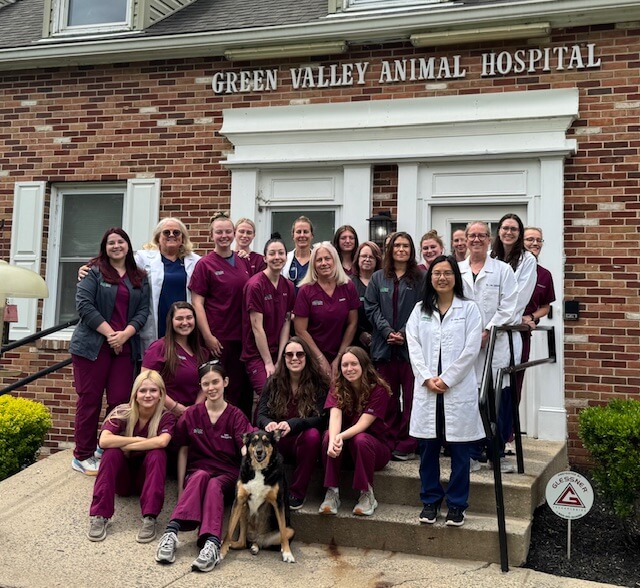 Veterinary Clinic in Ijamsville Veterinary Clinic in Ijamsville